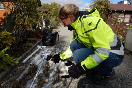 freie Praktikumsstellen ab September 2024