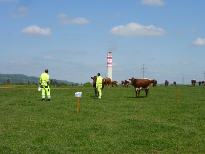 Wie stark belasten Kehrichtverbrennungsanlagen ihre Umgebung?