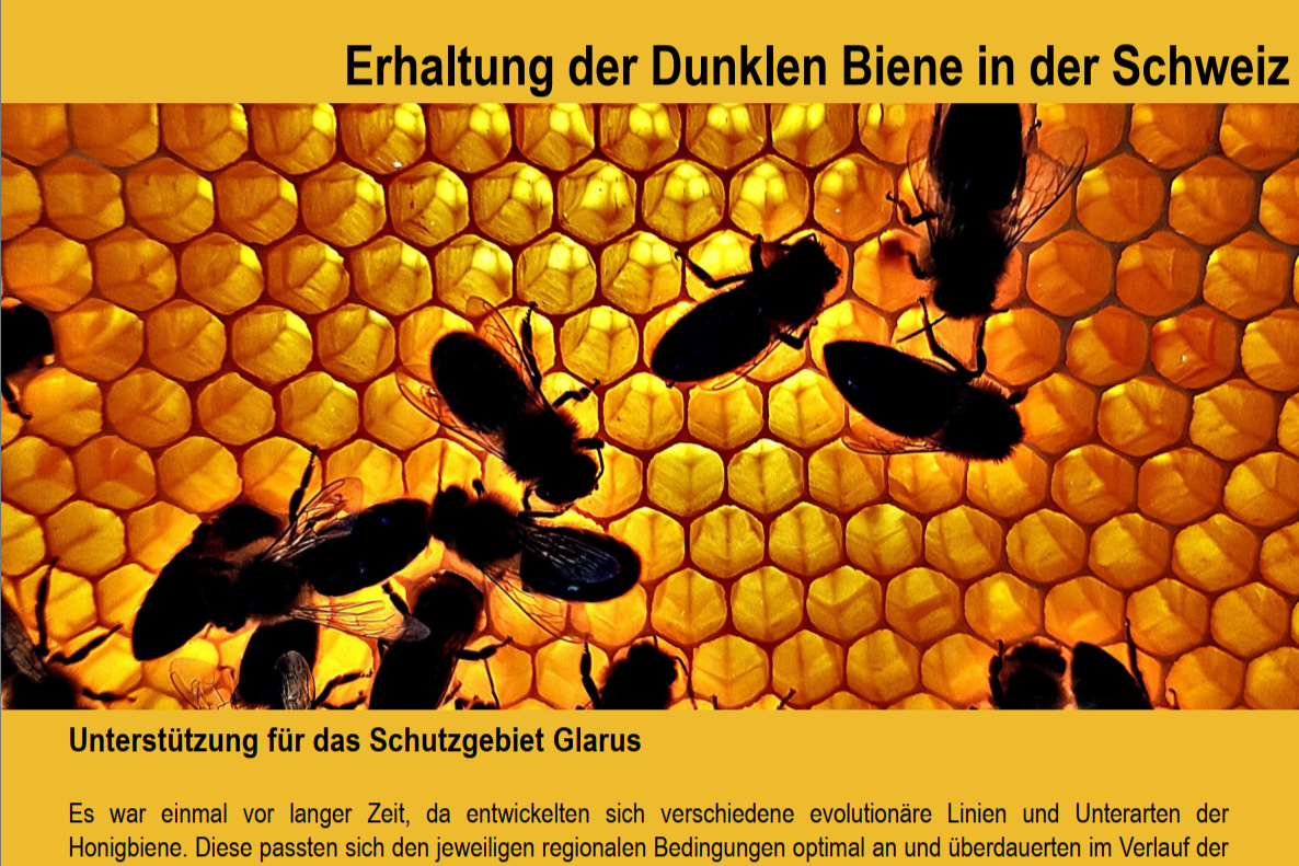 FP im Magazin von mellifera.ch