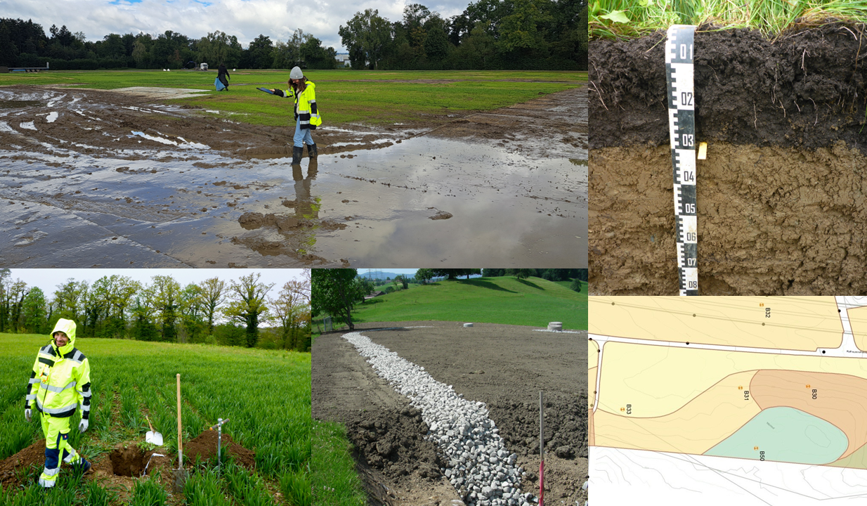 Fachbereichseinblick: Boden